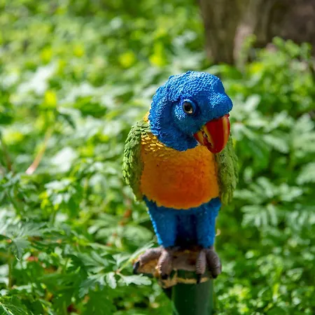 Standing De 88 M2, Grand Jardin, Wifi, Clim, Netflix, La Suzanna